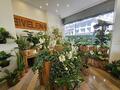 FIORISTA DROGHERIA LIQUORI DECO PROFUMO AMBIENTE - Appartamenti in vendita a MonteCarlo