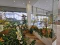 FIORISTA DROGHERIA LIQUORI DECO PROFUMO AMBIENTE - Appartamenti in vendita a MonteCarlo