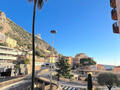 Parc Saint Roman - Ampio monolocale in ottime condizioni - rapidamente disponibile - Appartamenti in vendita a MonteCarlo