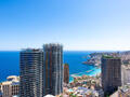 BELLE 2 CAMERE VISTA MARE RISTRUTTURATE - Appartamenti in vendita a MonteCarlo