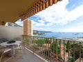 MAGNIFICO APPARTAMENTO DI 2 LOCALI - CENTRALE - Appartamenti in vendita a MonteCarlo