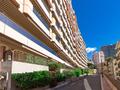 AMPIO BILOCALE CON GIARDINO - Appartamenti in vendita a MonteCarlo