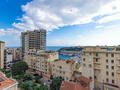 MAGNIFICO 3 LOCALI RINNOVATI - Appartamenti in vendita a MonteCarlo