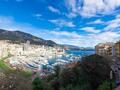 LOFT DA TRASFORMARE IN APPARTAMENTO CON 2/3 CAMERE DA LETTO - Appartamenti in vendita a MonteCarlo