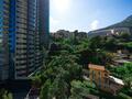 LUMINOSO MONOLOCALE RESIDENZA AL PIANO ALTO L'ANNONCIADE - Appartamenti in vendita a MonteCarlo